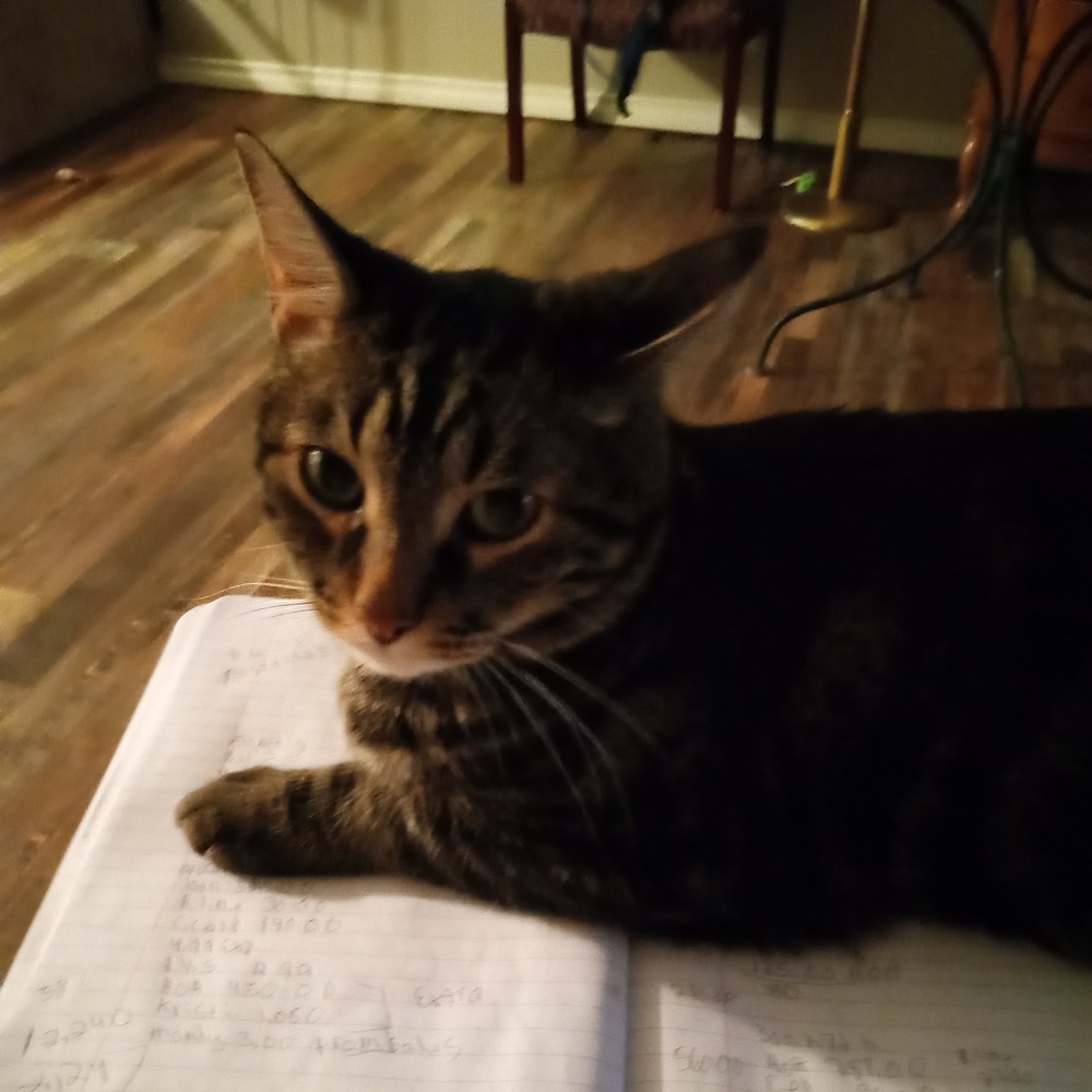 Meet your Posher, Misty
